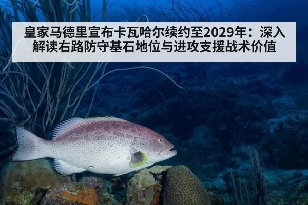 皇家马德里宣布卡瓦哈尔续约至2029年：深入解读右路防守基石地位与进攻支援战术价值